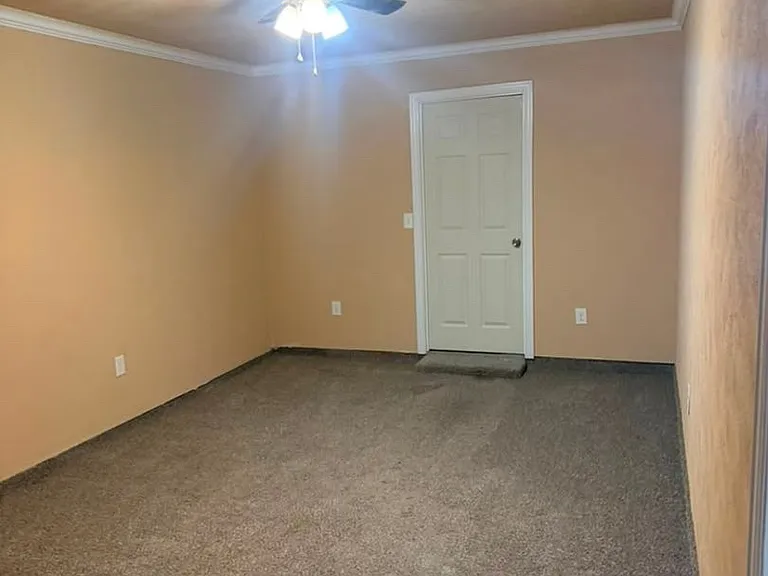 317 Pecan St — Photo 12