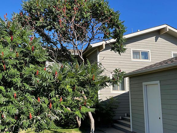 3rd image of 1615 Birchwood Ln
