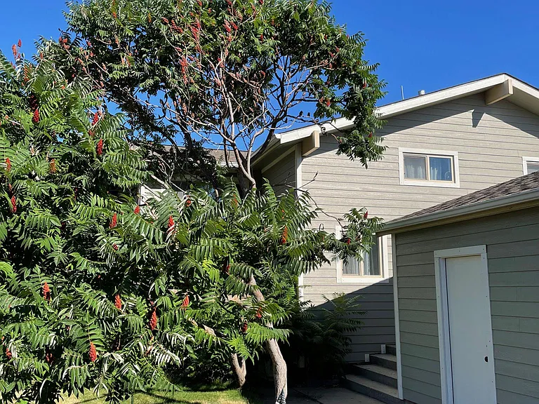 1615 Birchwood Ln — Photo 3