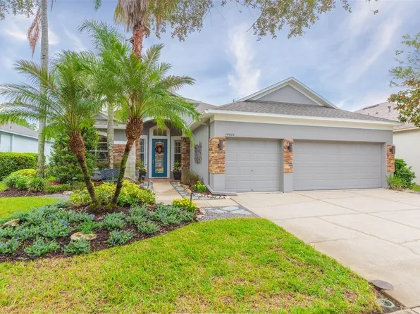19207 Meadow Pine Dr, Tampa, FL 33647