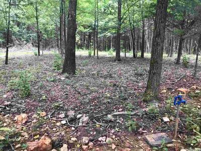 2923 Cr, Marble Falls, AR, 72648
