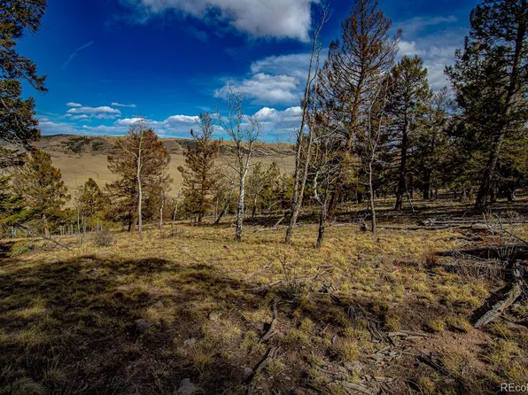 5302 Middle Fork Vista LOT 527, Fairplay, CO 80440