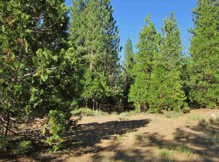 6874 Forest View Ln, Portola, CA