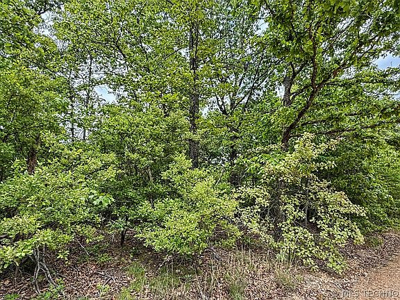 4th image of 28077 Lame Deer Ridge Rd