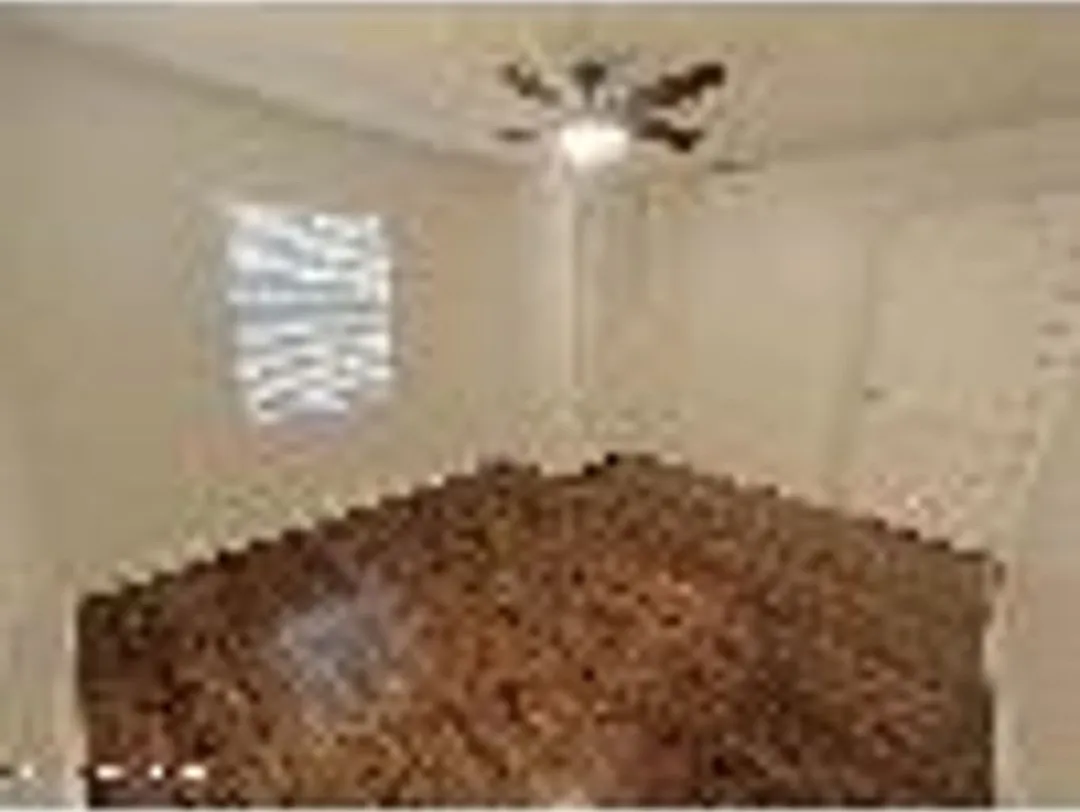 2555 Myra Street — Photo 2