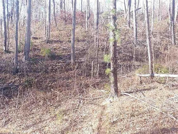 2nd image of 2 Deer Path Ln Lot 2