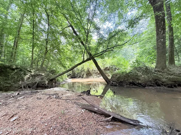SW Jackson Liberty Dr, Smithdale, MS 39664