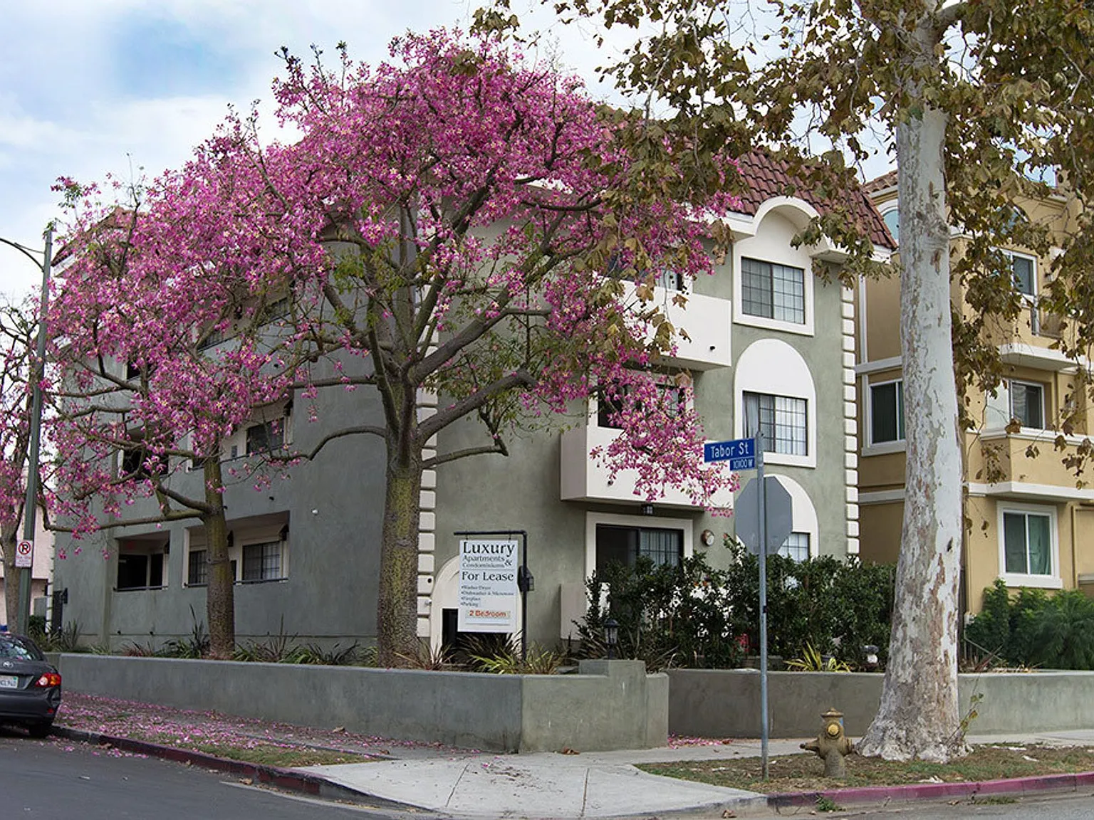 3600 Empire Apartments — Photo 2