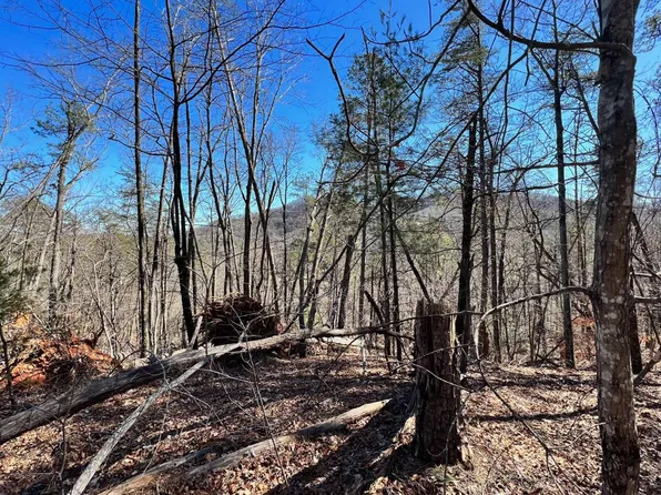 Mattie McCall Ln, Clayton, GA 30525