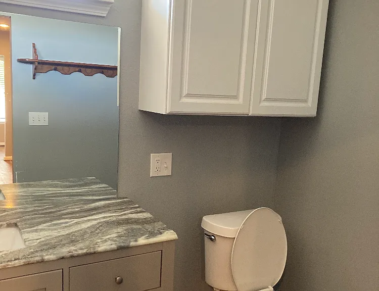 Master bath with dual vanity