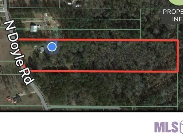 31670 N Doyle Rd, Holden, LA 70744