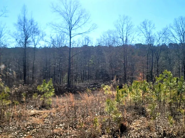 475 Greentop Dr #0, Odenville, AL 35120