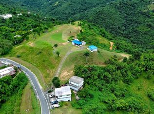 Carretera 172 Commons Canaboncito Solar #273, Caguas, PR 00725