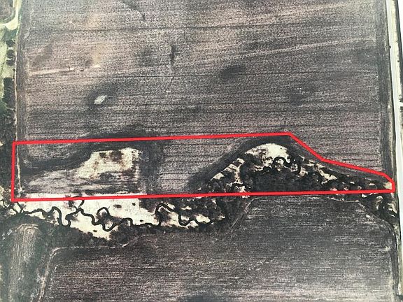 3rd image of Xxx Foliage