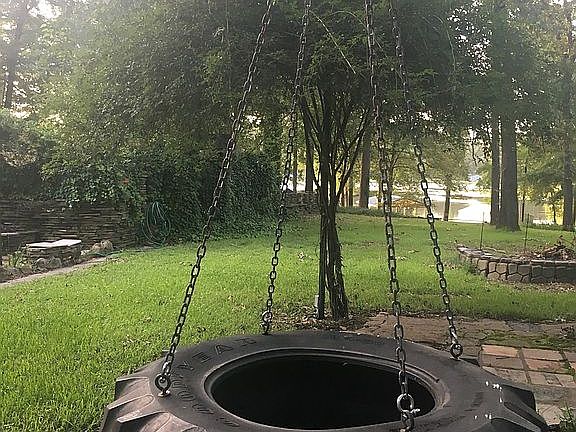 Back yard