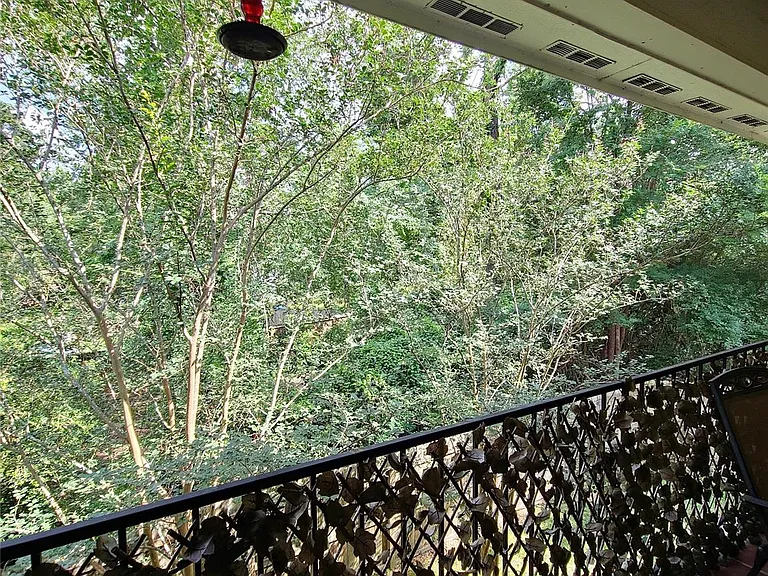 69 S Spiral Vine Cir #69B — Photo 15