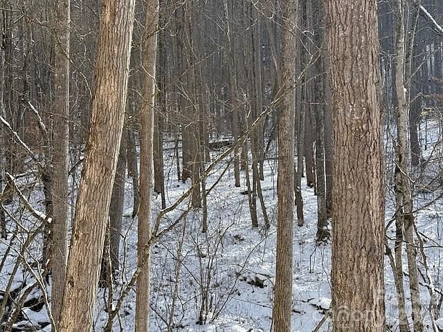 2nd image of 0 Martins Creek Rd
