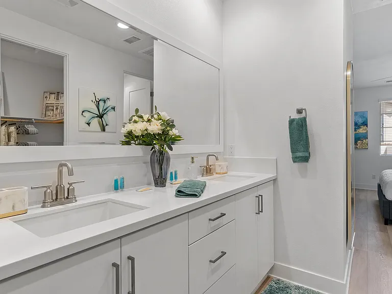 Master Suite Bathroom