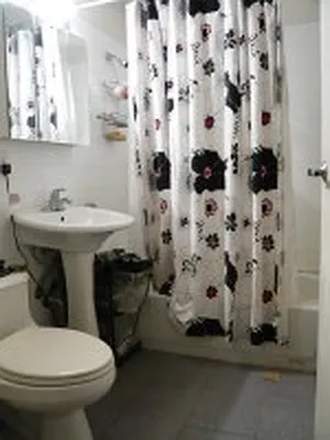 Rented by DSA Realty | media 36