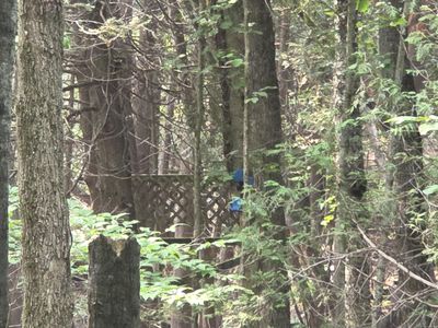 14050 Trowbridge Rd, Wolverine, MI, 49799