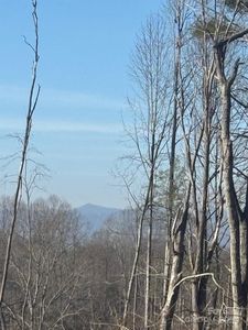 905 Hutch Mountain Rd, Fletcher, NC, 28732
