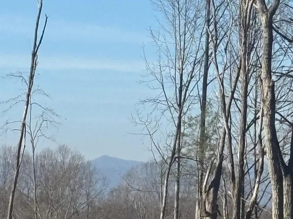 905 Hutch Mountain Rd, Fletcher, NC 28732