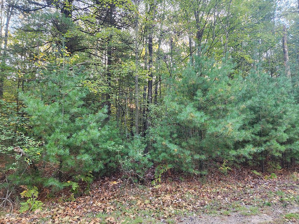2nd image of 6842 White Pine Dr