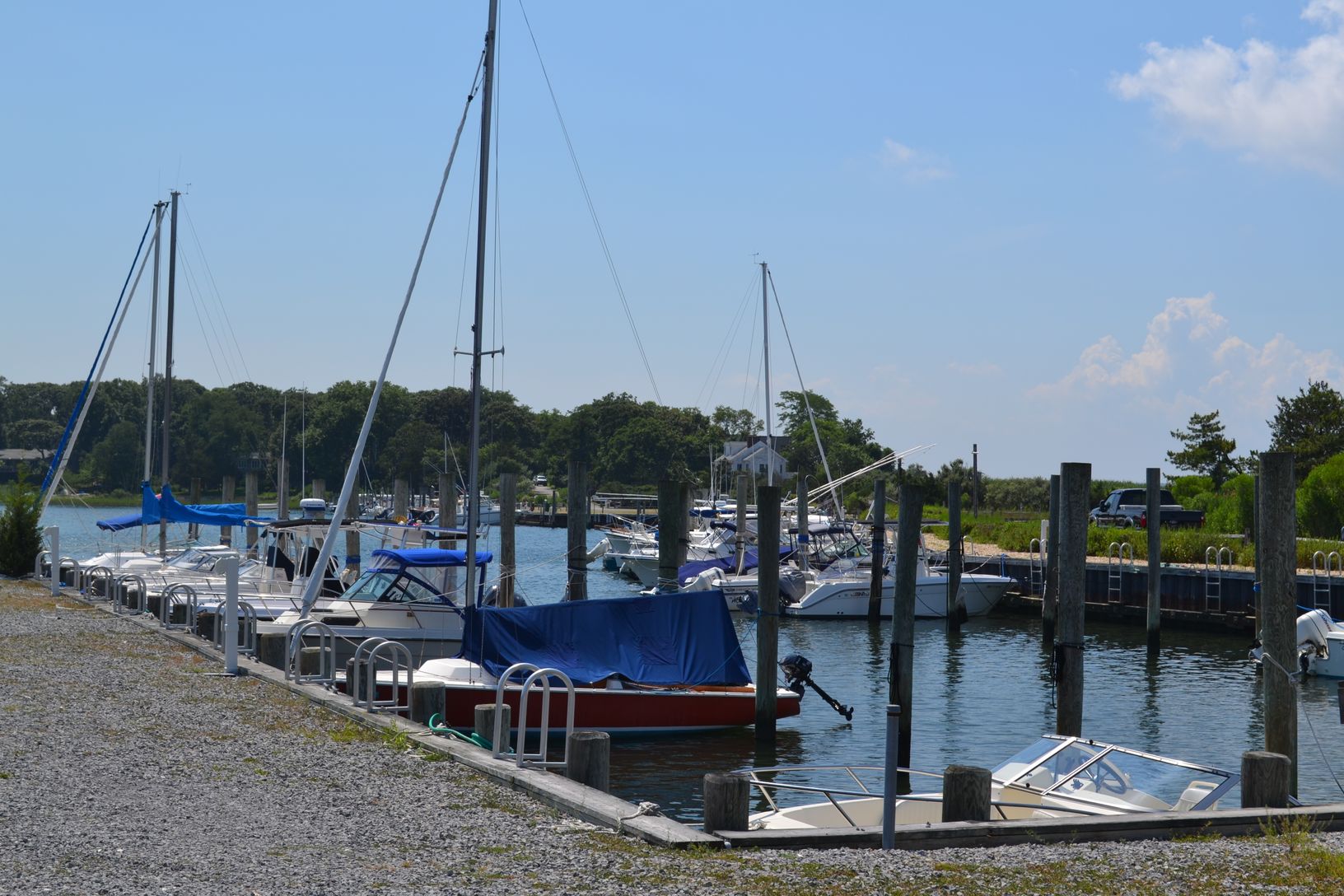  private marina w/ minimal docking fees