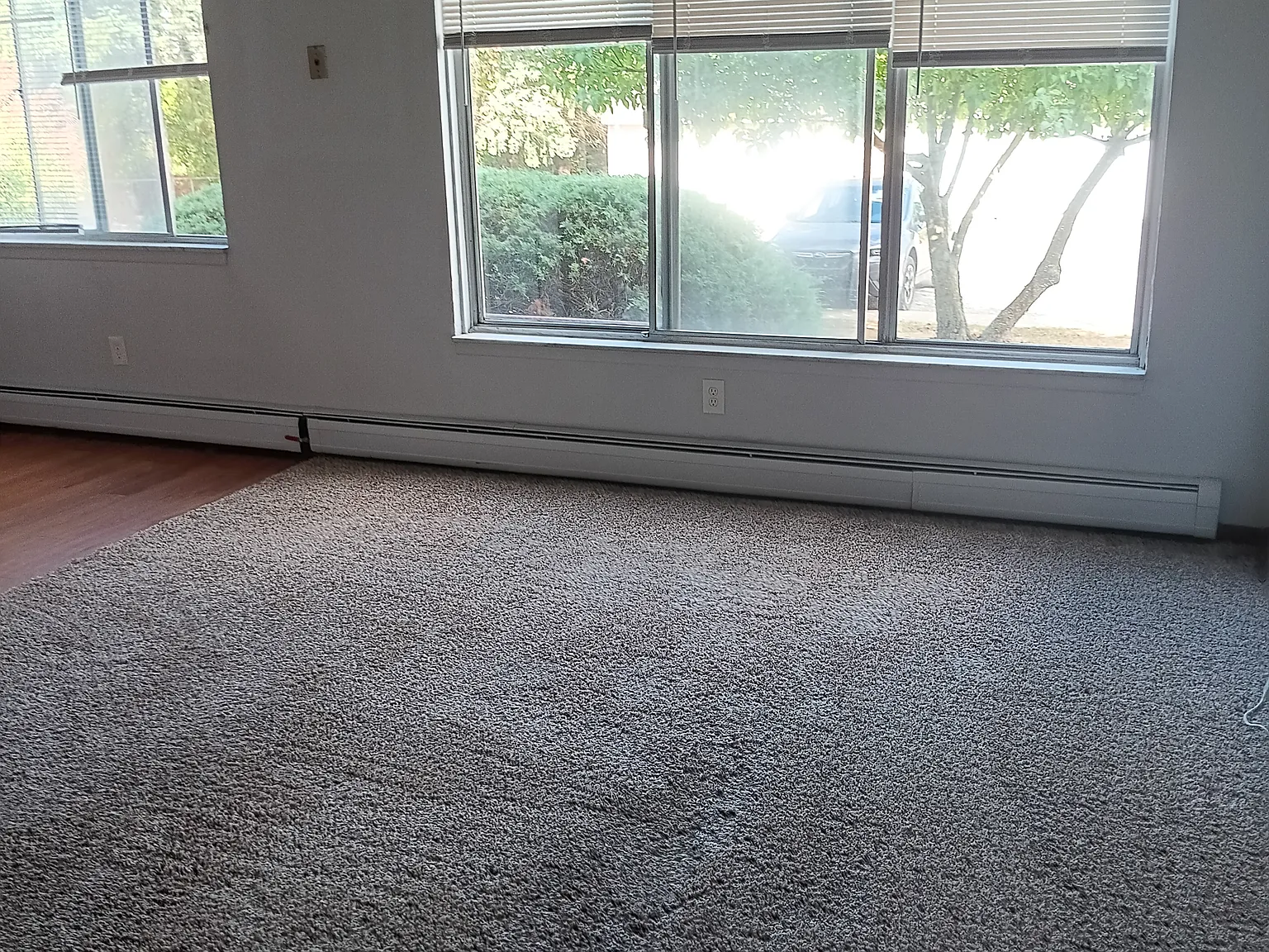 1 bed, 700 sqft, $950 — Photo 4