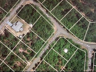 Locust Loop Pass Lot 10, Ocala, FL, 34472
