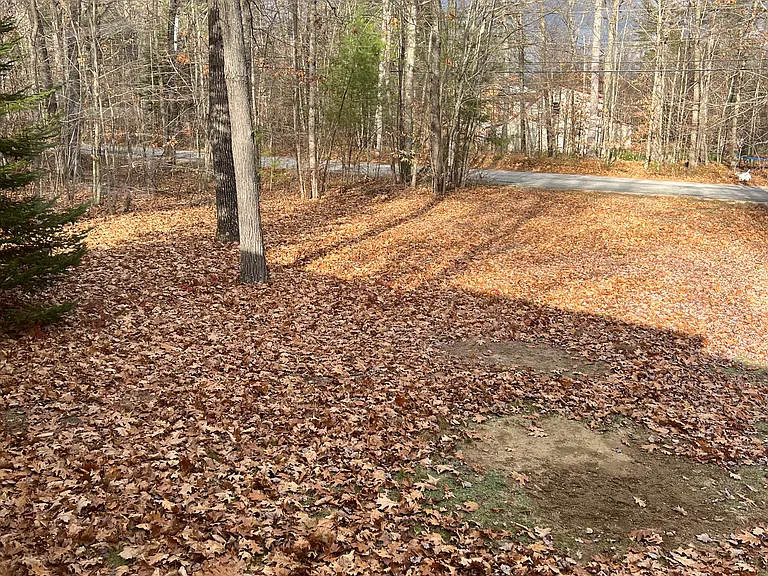 95 Rabbit Valley Rd — Photo 2