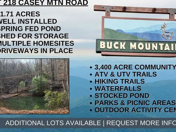 218 Casey Mountain Rd Lot 218, Purlear, NC 28665