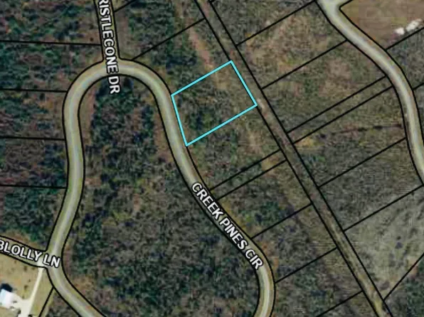 128 Creek Pines Cir, Wewahitchka, FL 32465