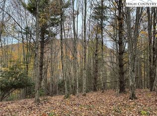 TBD Rominger Road, Banner Elk, NC 28604