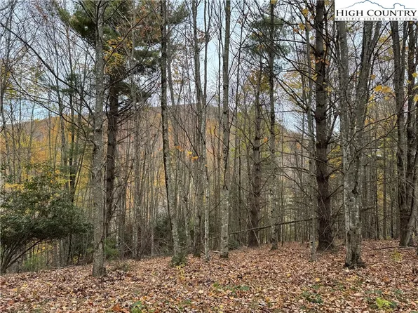 TBD Rominger Road, Banner Elk, NC 28604