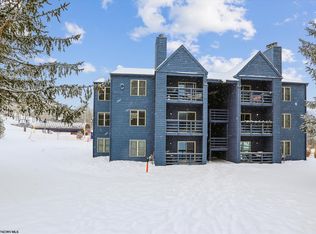 C204 Four Seasons Dr #C204, Davis, WV 26260