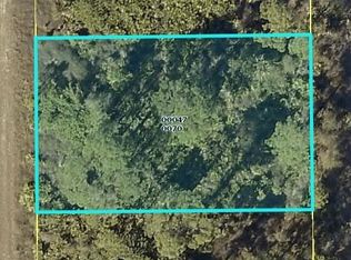 221 Lomax Ave S, Lehigh Acres, FL 33974