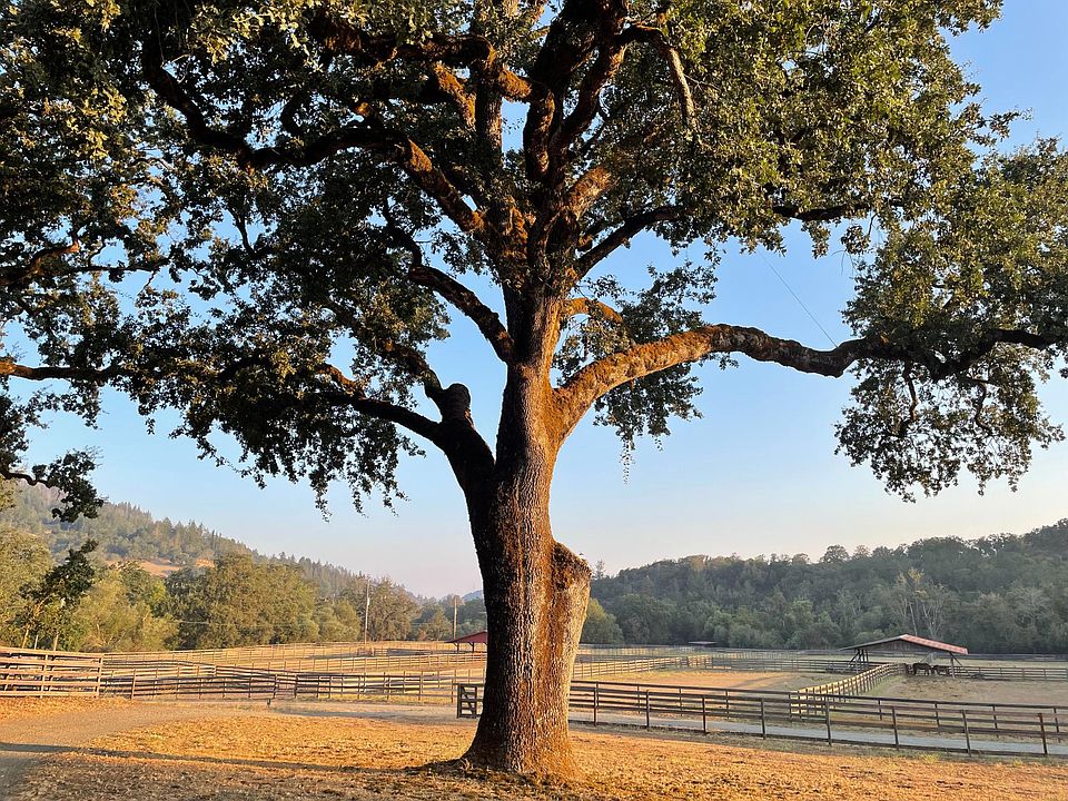 View from apartment deck.