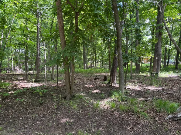 1101 & 1102 Jay Ct, Varna, IL 61375