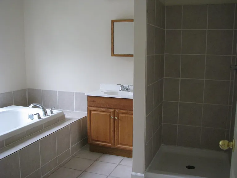 Bath 1 jacuzzi and shower