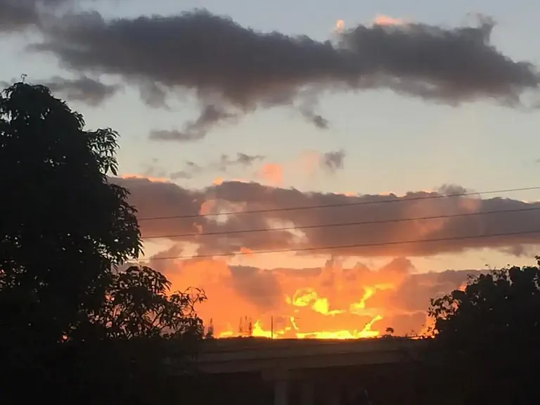 Kamehameha Hwy — Photo 13