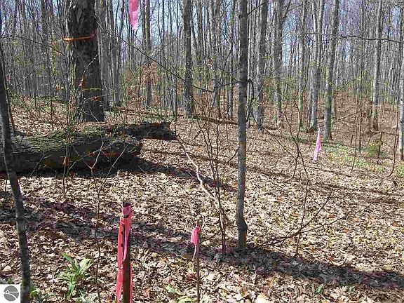 4th image of W Armstrong Lake Trail B 3