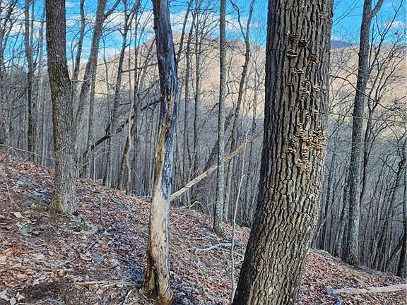 5th image of 0 Trackrock Gap Rd #1