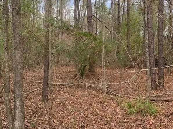 4900 Old Highway 51, Terry, MS 39170