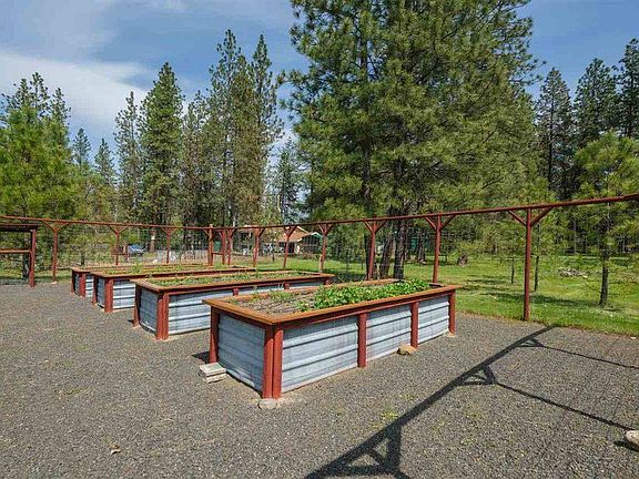 Raised bed garden, deer proof