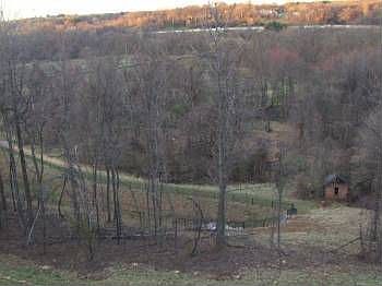 2nd image of 8324 Meadowsweet Rd