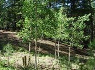 15781 Spruce Dr, Woodland Park, CO 80863