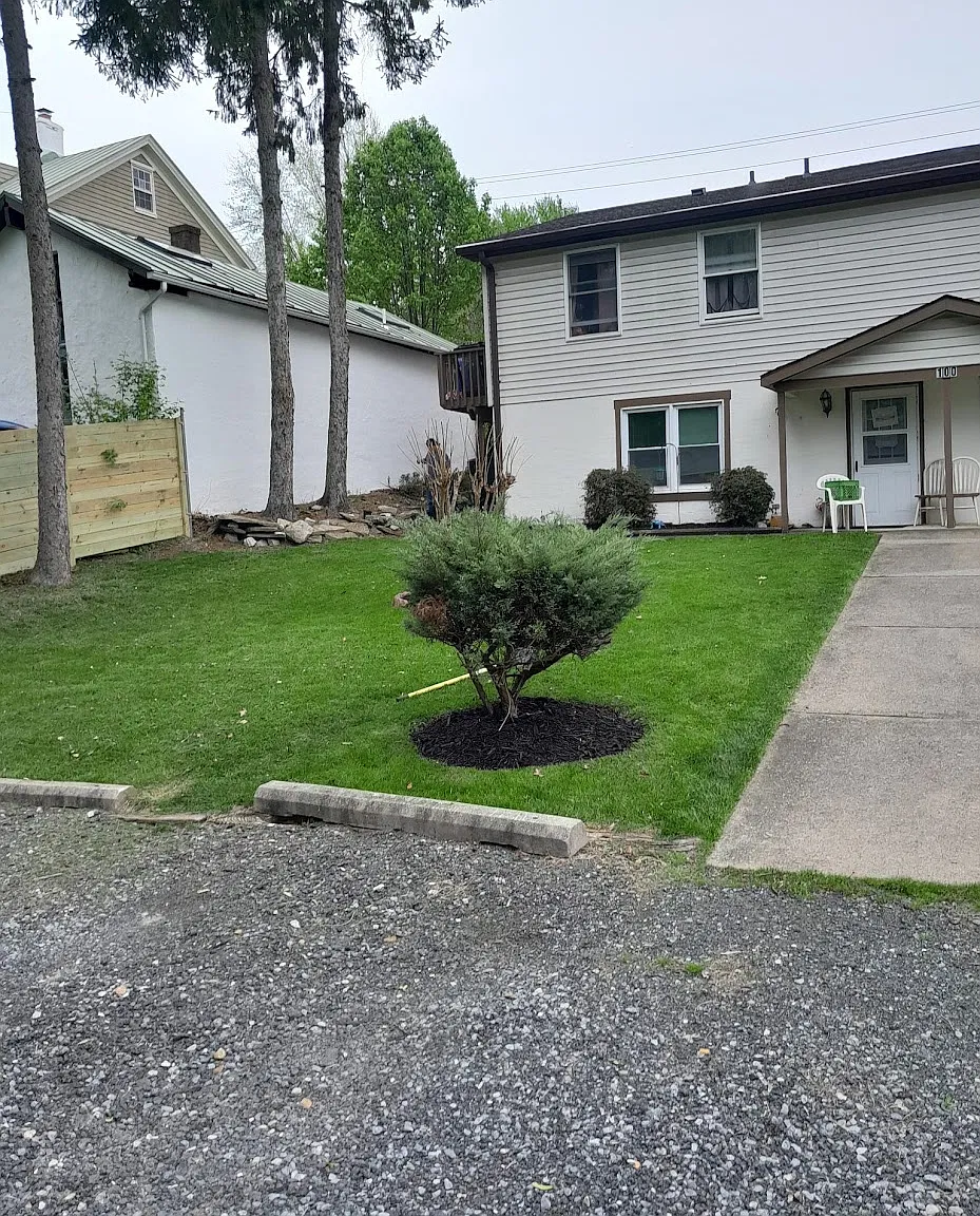 1 bed, $1,250 — Photo 1
