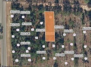 133 W Virginia St, Hawthorne, FL 32640