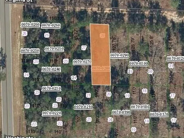 133 W Virginia St, Hawthorne, FL 32640